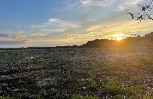 Ruhig und privat in der National Seashore