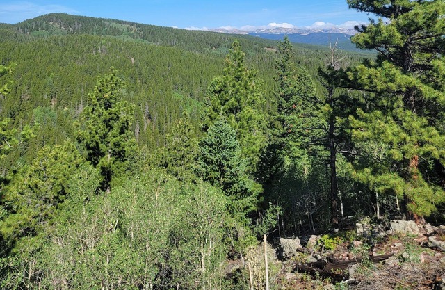 Quiet, Rural, Colorado Mountains Campground