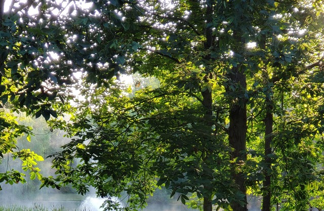 Ruhiger, geräumiger Rückzugsort in den Finger Lakes