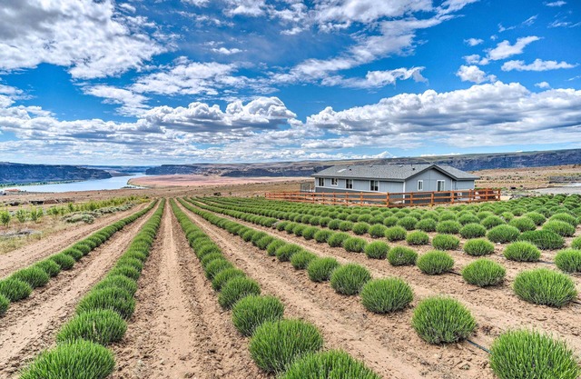 Quincy Home on Lavender Farm w/ River Views!