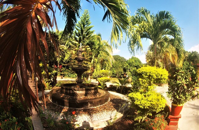 Quinta Comala