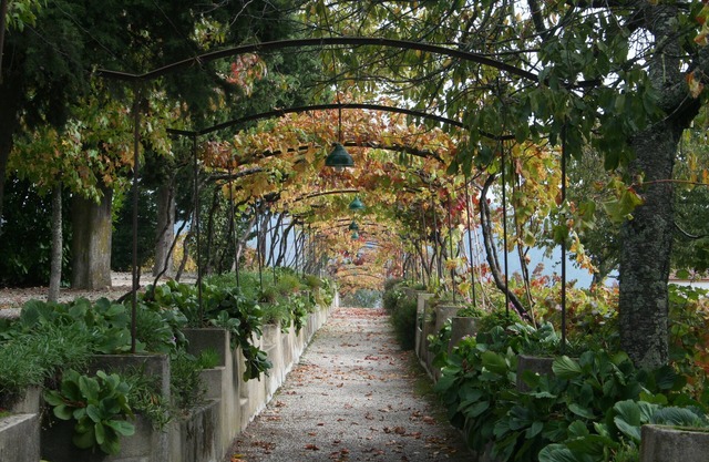 Quinta da Cumieira