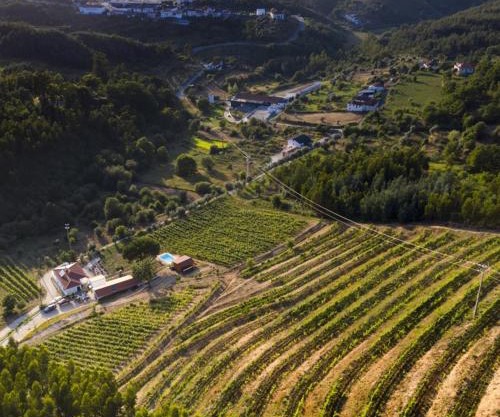 Quinta da Aldeia Nova