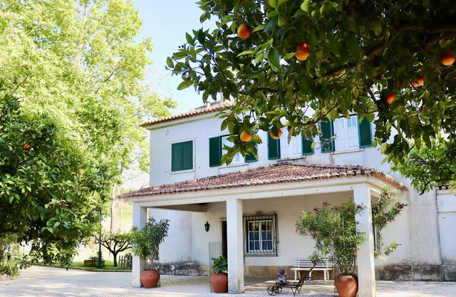 Quinta da Barreira - Außergewöhnliche Villa inmitten eines wunderschönen Weinbergs