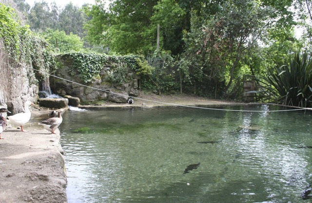 Quinta DA Eira - Relaxe no Campo