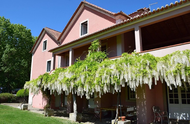 Quinta da Várzea - Colares, Sintra