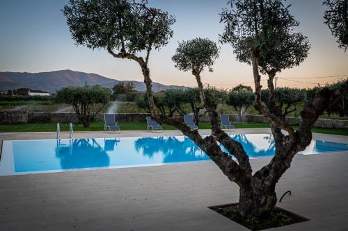 Quinta das Oliveiras Turismo Rural
