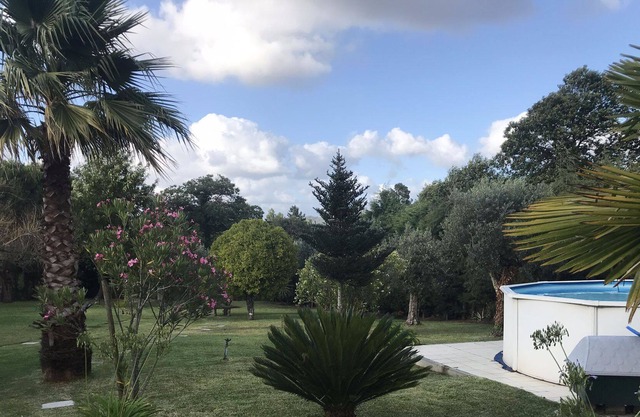 Quinta das Maçãs - Four Bedroom House, Sleeps 8
