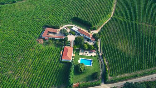 Quinta das Vianas - Casas do Picadeiro