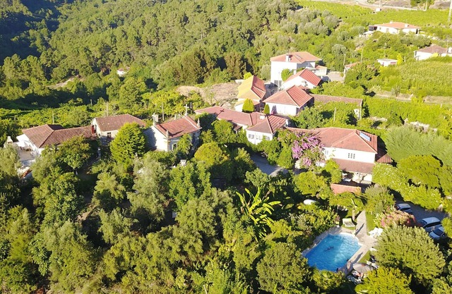 QUINTA DE RIBAS - LES OLIVIERS - QUIET GITE SURROUNDED BY GREENERY
