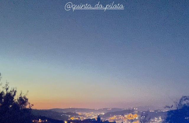 Quinta do Piloto, charm and nature with history!