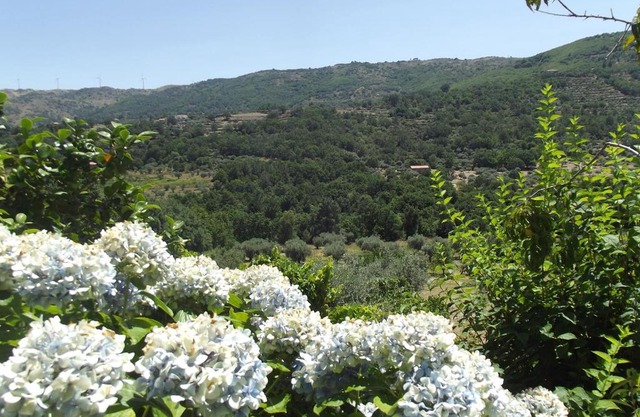 Quinta do Pina