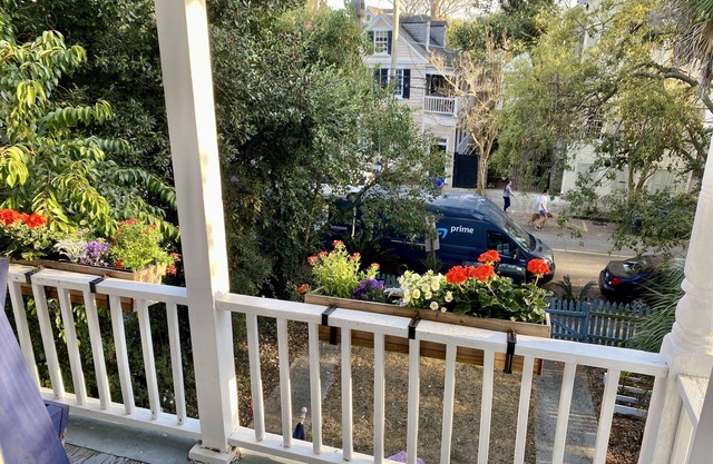 Quintessential Charleston Charm on Queen St 2