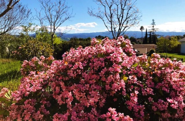 Quite guest-unit on a hilltop, an ideal longterm