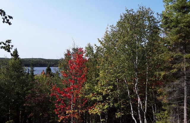 Résidence touristique Lodge des Bois