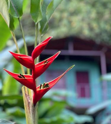 Río Verde Ecolodge