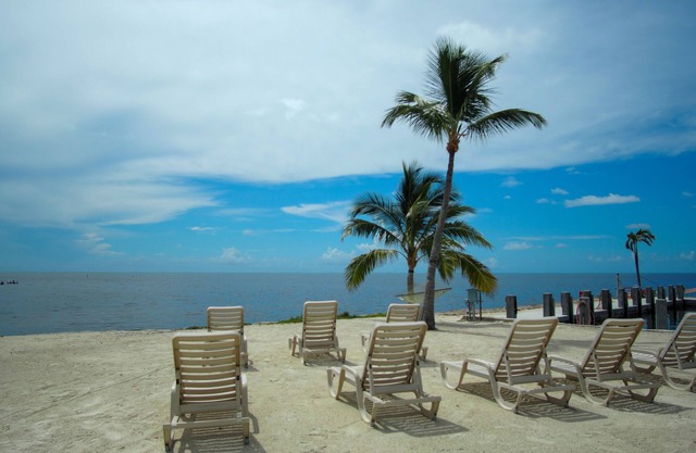 Ragged Edge Resort & Marina