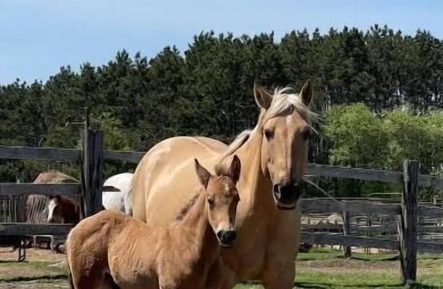 Ranch get away