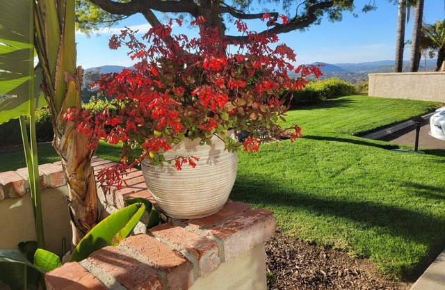 Rancho Bernardo Peaceful Comfort mit Canyon Ansichten