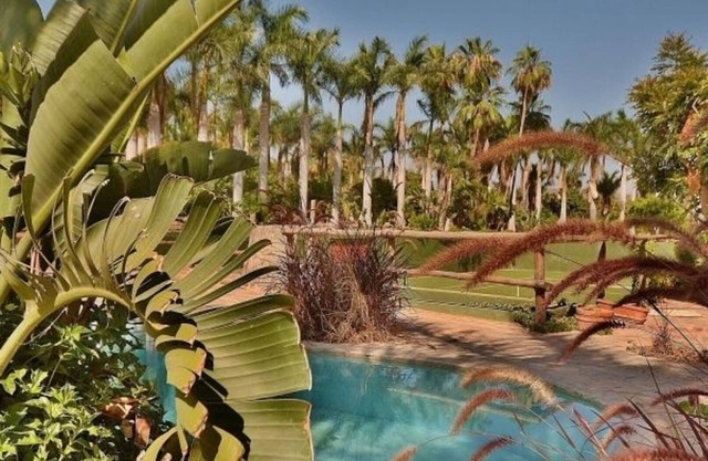 Rancho Danza Del Sol (Sundance) - die ganze Ranch - eine 25 Hektar große Mango Ranch