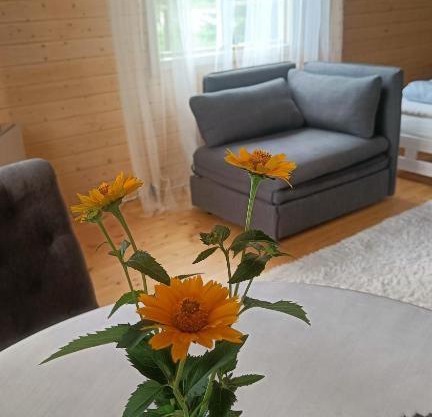 Rangipuhkemaja hiiumaakond