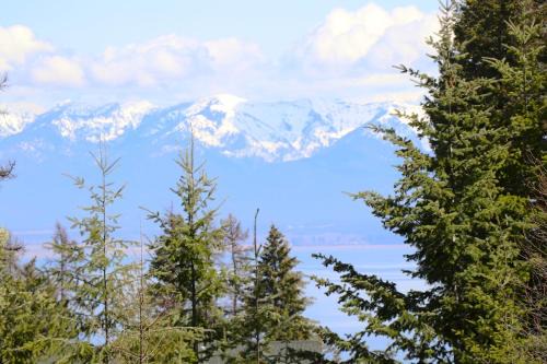 Rare Lakeside home with hot tub & lake views!