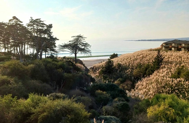 Rare Oceanview Studio Seascape Resort!
