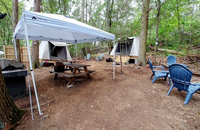 Rare, peaceful glamping, hot shower, mini golf near appalachian trail