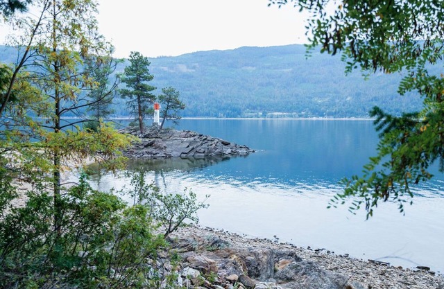 RARE Unique, private lakefront home with 800 ft of shore on Shuswap lake