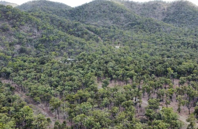 Raspberry creek cabin