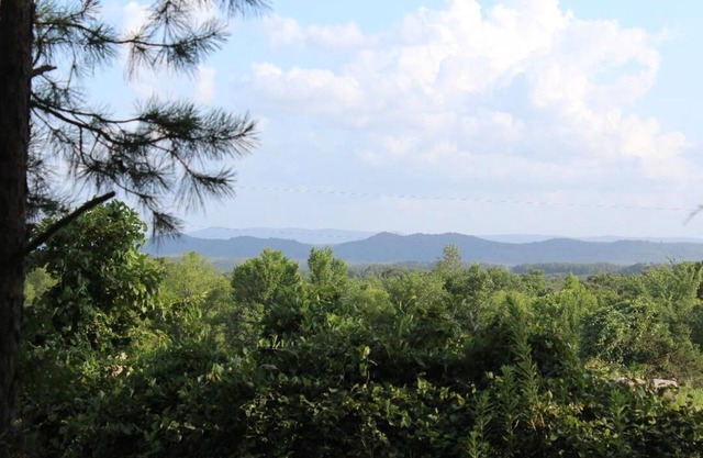 Cozy cabin borders Ouachita National Forest! Pet-Friendly! Firepit!
