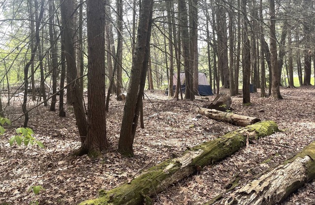 Raw Camping.