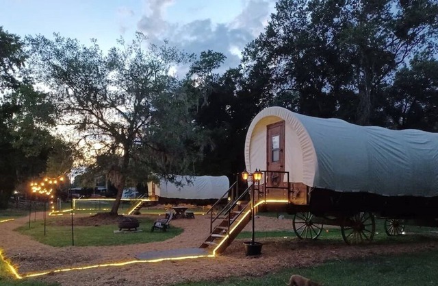 Real 1800's style Luxury Covered Wagon at a Farm Animal Sanctuary!