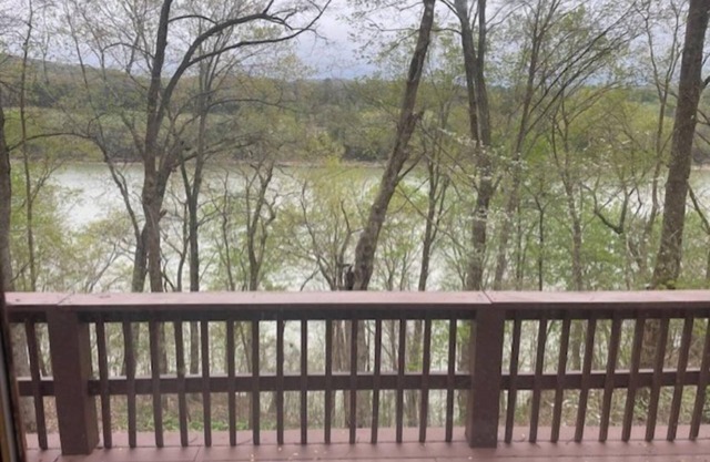 Real Log Cabin with lake view and minutes from 3 plus boat ramps!!!!