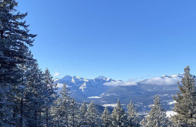 Real stone cabin, wake to million dollar views, abundant wildlife...