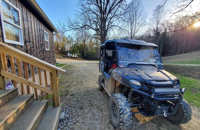 RealTree Camo Cabin 2