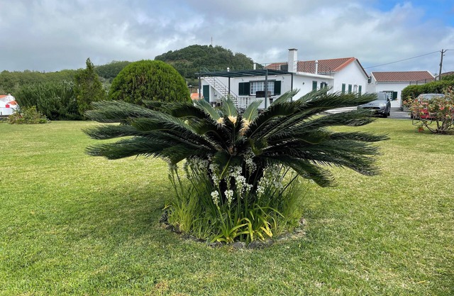 Beschreibung von Villa auf dem Dorf, auf den Faja de Baixo, Portugal