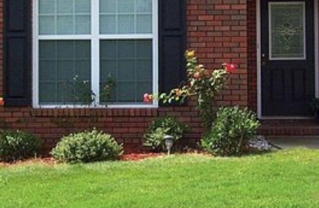 Red Brick Retreat/w Fireplace (Pet + Kid Friendly)