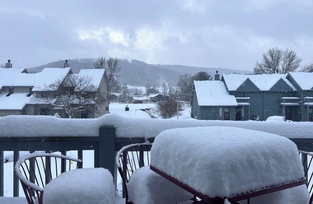 ❄️Red Stove Retreat @Wildflower - Holiday Valley❄️ Shuttle or Walk to Ski Lift