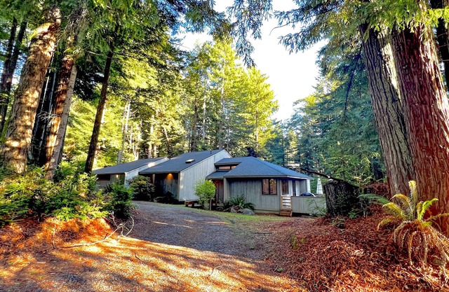 Redwood retreat with large deck, grill, AC, & art collection - dog-friendly