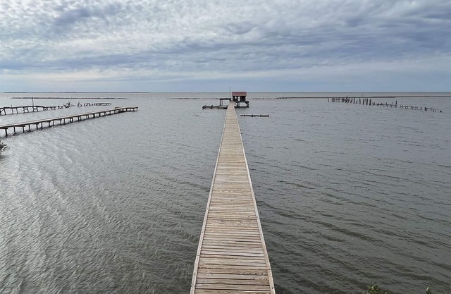 Reel Cajun - Boat Access - Island Realty