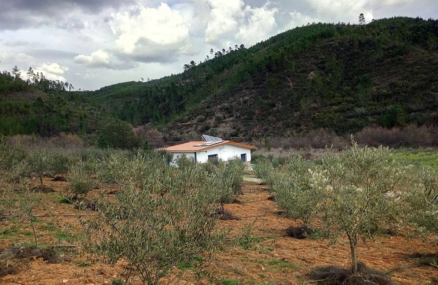 RÜCKFLUSS VON RAPOSO / CASA DA RIBEIRA (AGROTURISMO)