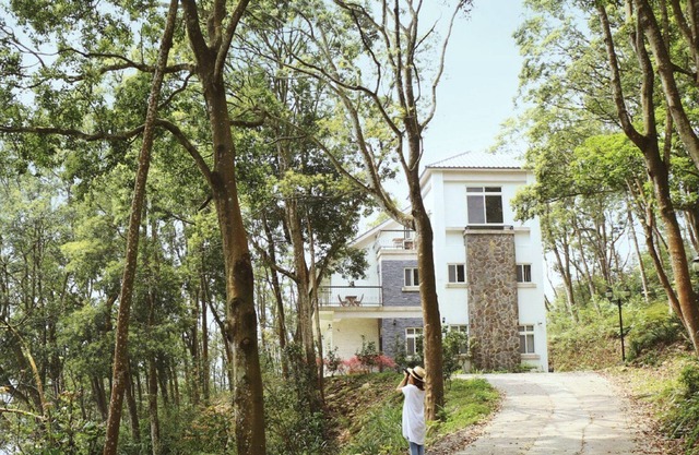 Reindeer Miaoli Green Wave