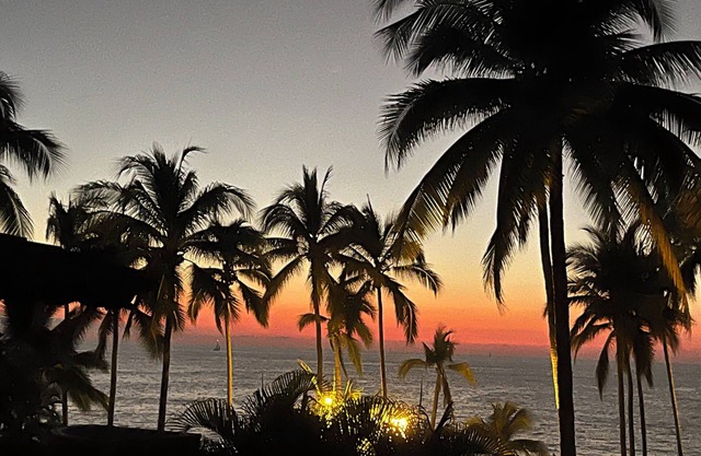 Relax amidst the palms in a 1-bedroom oceanfront condo at Los Tules.