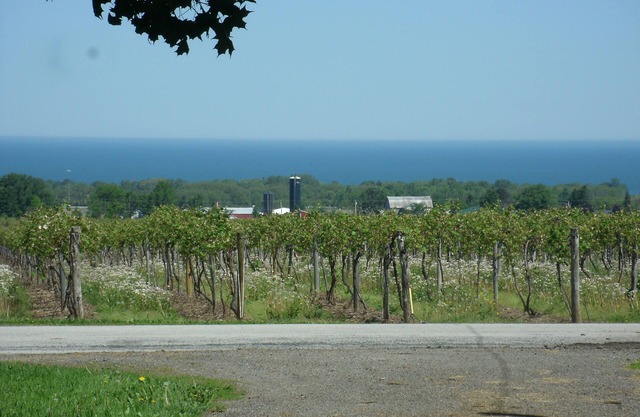 Arwen Farms, LLC Haus Stead House