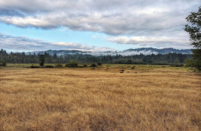 Relax and recharge in a place that feels remote but it just minutes from town.