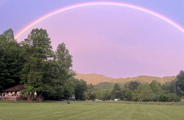 RELAX at our Creekside cabin 3 miles from casino 5 min from national park. ⛰️