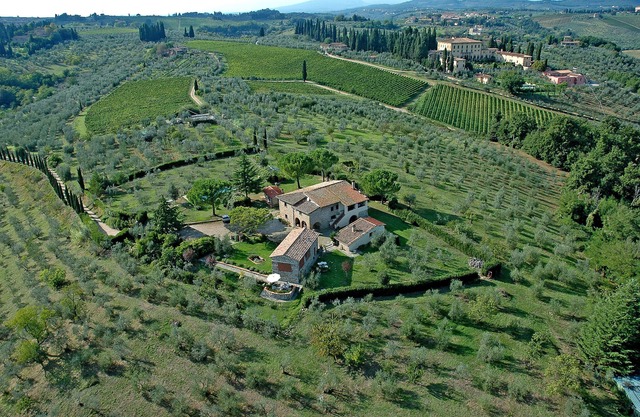 RELAX BETWEEN OLIVES AND WINEYARDS, NEAR FLORENCE
