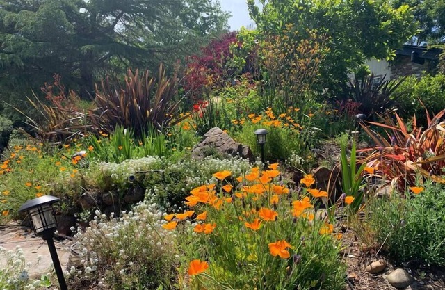 Relax in a Landscaped Paradise w/ 4Bdr Home, Amazing Santa Cruz Landscaped paradise