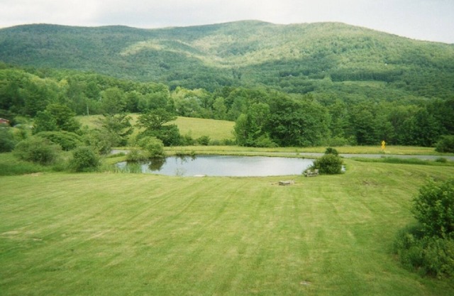 Entspannen Sie im Whirlpool unter Catskill Sterne